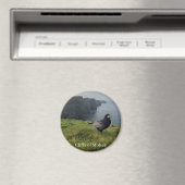 Cliffs of Moher, Irland Souvenir Magnet (In Situ (Geschirrspüler))