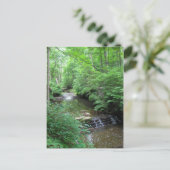 Clifty Falls Creek Postcard Postkarte (Stehend Vorderseite)