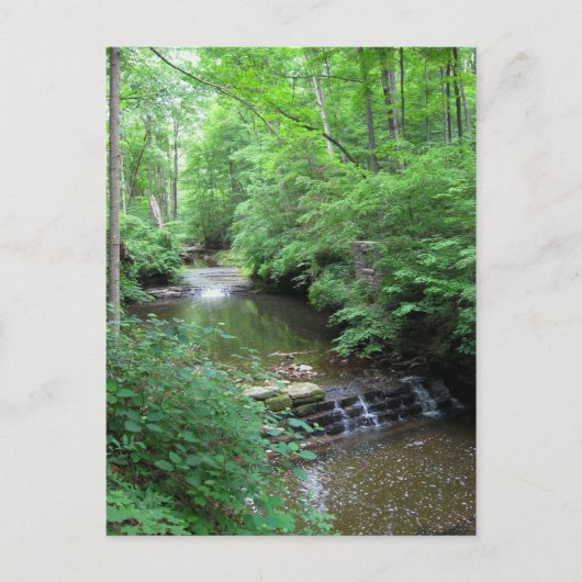 Clifty Falls Creek Postcard Postkarte (Vorderseite)