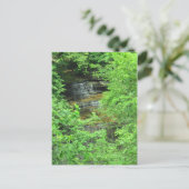 Clifty Falls Postkarte (Stehend Vorderseite)