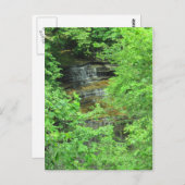 Clifty Falls Postkarte (Vorne/Hinten)