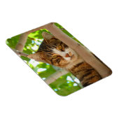 Climber-Katze Magnet (Rechte Seite)