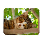 Climber-Katze Magnet (Horizontal)