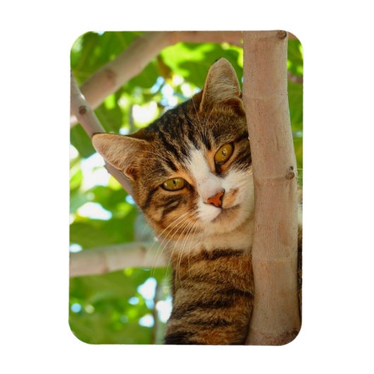 Climber-Katze Magnet (Vertikal)