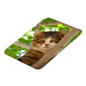Climber-Katze Magnet (Linke Seite)
