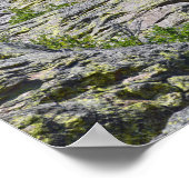 Climber Nears Summit of Devils Tower, Wyoming Poster (Ecke)