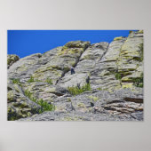 Climber Nears Summit of Devils Tower, Wyoming Poster (Vorne)