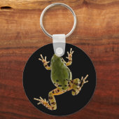 Climbing Arizona Tree Frog Photograph Over Black Schlüsselanhänger (Vorderseite)