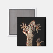 Climbing Gekko Magnet (Vorderseite/Rückseite)