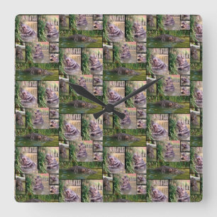 Climbing Hippo Foto Collage, Quadratische Wanduhr