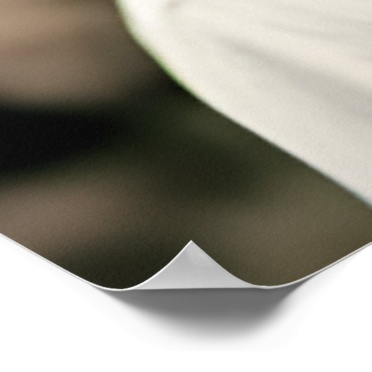 Clint Eastwood Poster (Ecke)