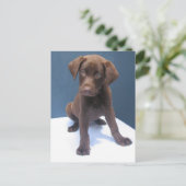 Clint Postkarte (Stehend Vorderseite)