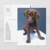 Clint Postkarte (Vorne/Hinten)