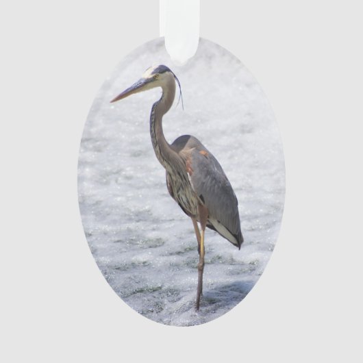 Clinton Heron Ornament (Vorderseite)
