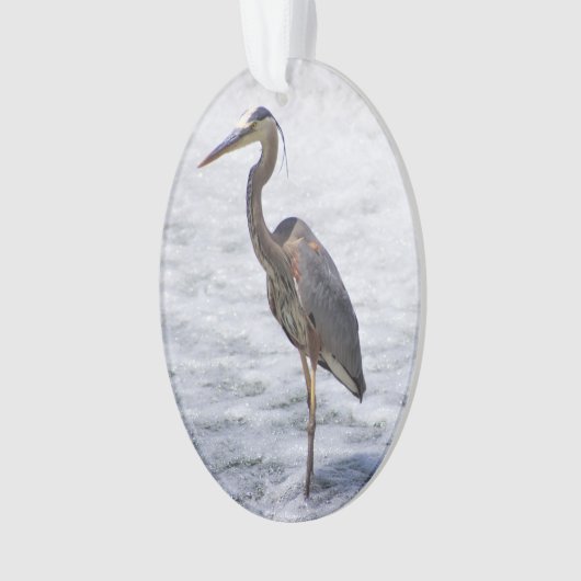 Clinton Heron Ornament (Vorderseite)