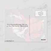 Clio By Pierre Mignard Postkarte (Rückseite)