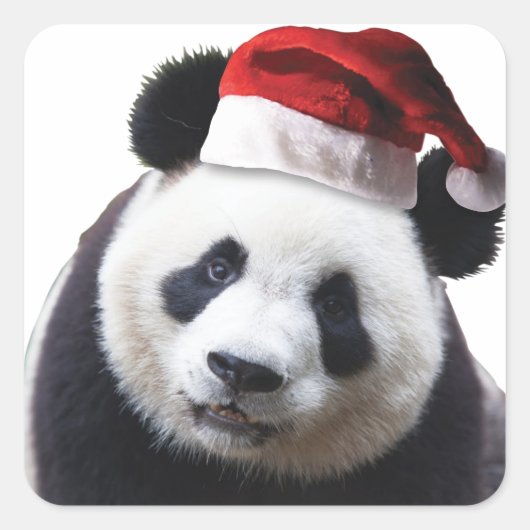Clipped-Panda-Santa-2 Quadratischer Aufkleber (Vorderseite)