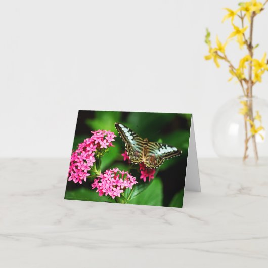 Clipper auf Pentas 1 Karte (Gelbe Blume)