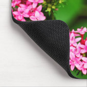 Clipper auf Pentas 1 Mousepad (Ecke)