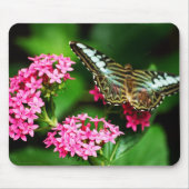 Clipper auf Pentas 1 Mousepad (Vorne)