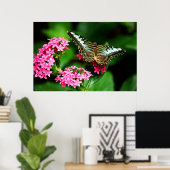 Clipper auf Pentas 1 Print Poster (Heimbüro)