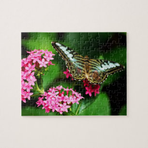 Clipper auf Pentas 1 Puzzle