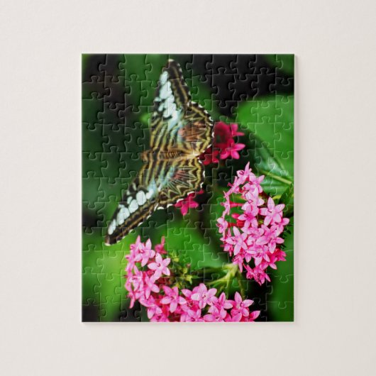 Clipper auf Pentas 1 Puzzle (Vertikal)