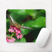 Clipper auf Pentas 2 Mousepad (Mit Mouse)