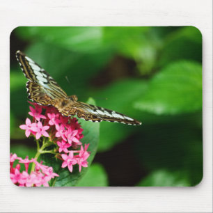 Clipper auf Pentas 2 Mousepad