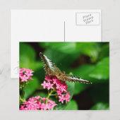 Clipper auf Pentas 2 Postkarte (Vorne/Hinten)