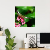 Clipper auf Pentas 2 Print Poster (Heimbüro)