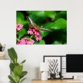 Clipper auf Pentas 2 Print Poster (Heimbüro)