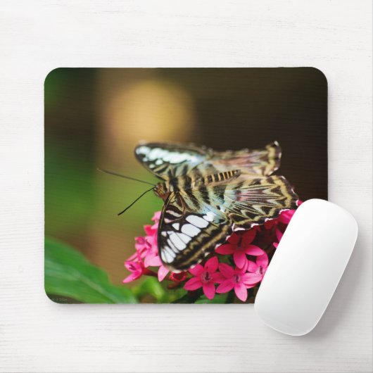 Clipper auf Pentas 3 Mousepad (Mit Mouse)