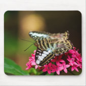 Clipper auf Pentas 3 Mousepad (Vorne)