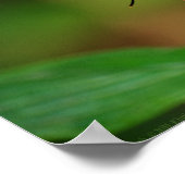 Clipper auf Pentas 3 Print Poster (Ecke)