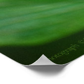 Clipper auf Pentas 3 Print Poster (Ecke)