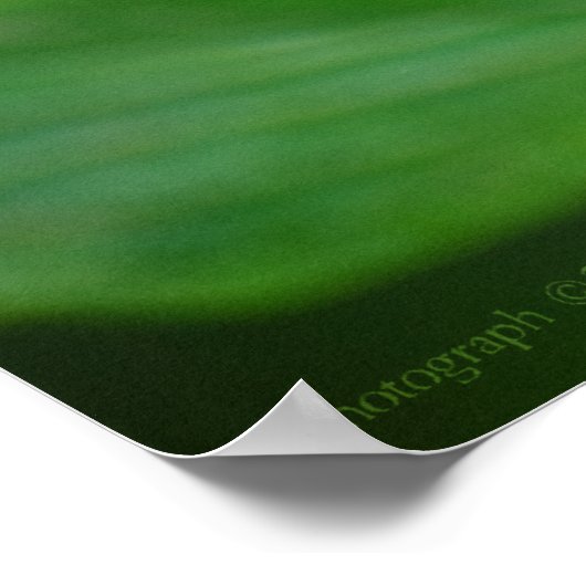 Clipper auf Pentas 3 Print Poster (Ecke)