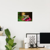 Clipper auf Pentas 3 Print Poster (Heimbüro)