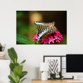 Clipper auf Pentas 3 Print Poster (Heimbüro)