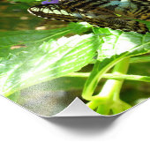 Clipper Butter Fotodruck (Ecke)