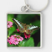 Clipper on Pentas 1 Keychain Schlüsselanhänger (Vorne)