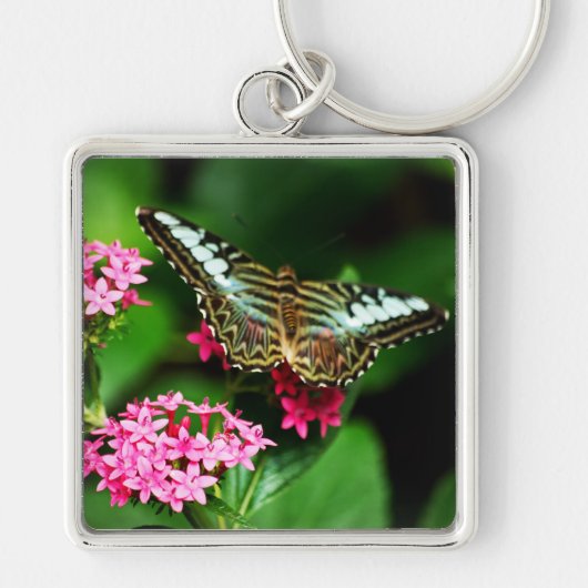 Clipper on Pentas 1 Keychain Schlüsselanhänger (Vorne)