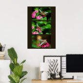 Clipper on Pentas (Portrait) Print Poster (Heimbüro)