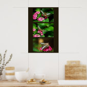 Clipper on Pentas (Portrait) Print Poster (Küche)