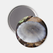 Clitocybe nebularis Mushroom Magnet (Vorderseite/Rückseite)