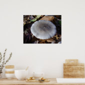 Clitocybe nebularis Mushroom Poster (Küche)