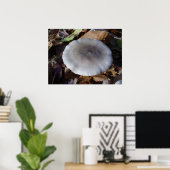 Clitocybe nebularis Mushroom Poster (Heimbüro)