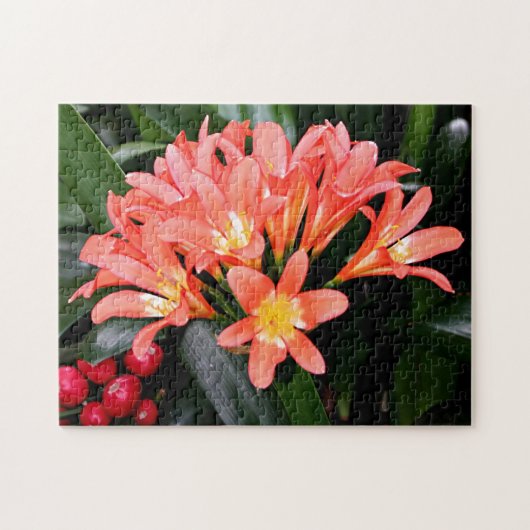 Clivia-Blume in Blüte Puzzle (Horizontal)