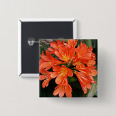 Clivia Miniata - Die wunderschöne Blume Button (Vorne & Hinten)