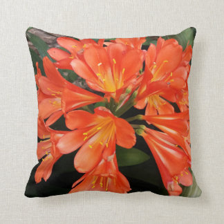 Clivia Miniata - Die wunderschöne Blume Kissen